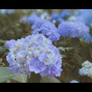 Meet your Posher, Yuan